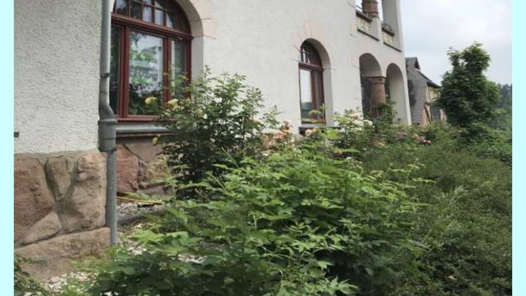 Wohnung zur Miete 390 € 2 Zimmer 48,7 m² EG frei ab 01.07.2026 Mittweida 09648