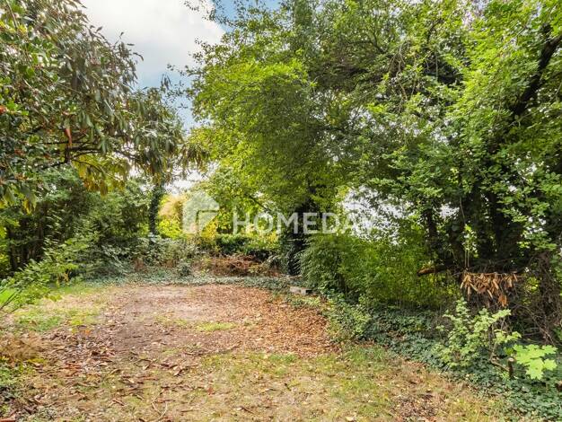 Bungalow zum Kauf 749.000 € 7 Zimmer 169 m² 735 m² Grundstück Ober-Roden Rödermark 63322