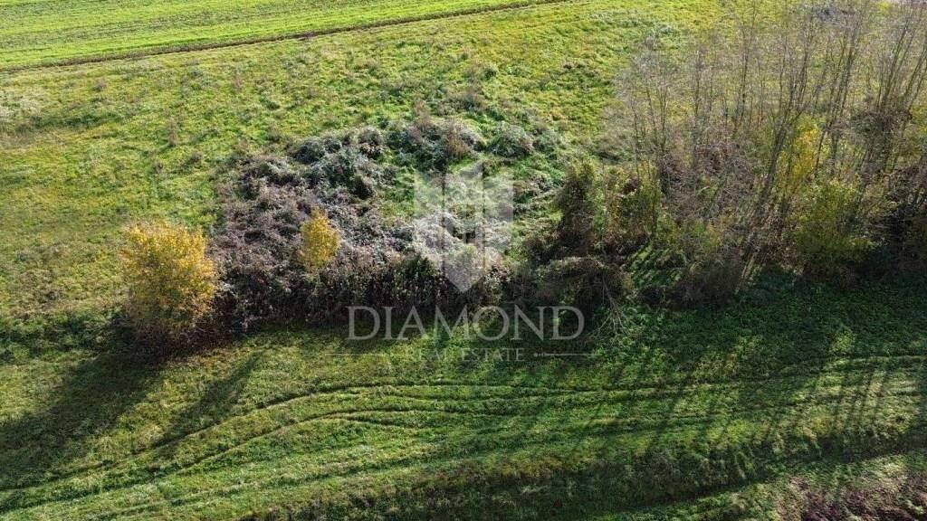 Land-/Forstwirtschaft zum Kauf 120.000 € Gracisce Gracisce