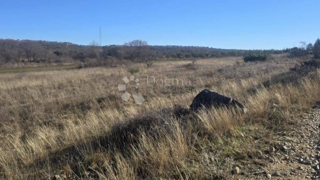 Land-/Forstwirtschaft zum Kauf 67.500 € Benkovac