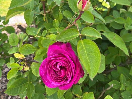 Freizeitgrundstück zum Kauf 50.000 € 926 m² Grundstück frei ab sofort Ingolstadt 85049