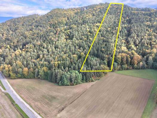 Forstwirtschaft zum Kauf 55.000 € 20.000 m² Grundstück Neuhaus Neuhaus 9155