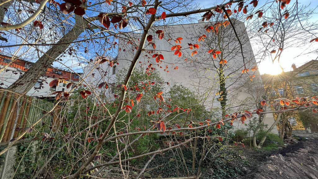 Freizeitgrundstück zur Miete 150 € 244 m² Grundstück Burgstraße 9 Giebichenstein Halle (Saale)-Giebichenstein 06114