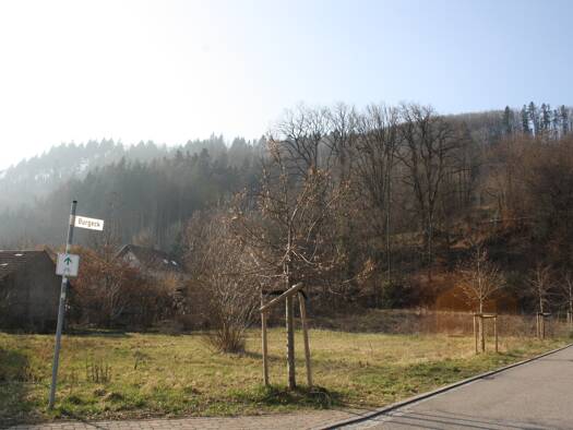 Grundstück zum Kauf 150.000 € 639 m² Grundstück Burgeck Hausen im Wiesental 79688