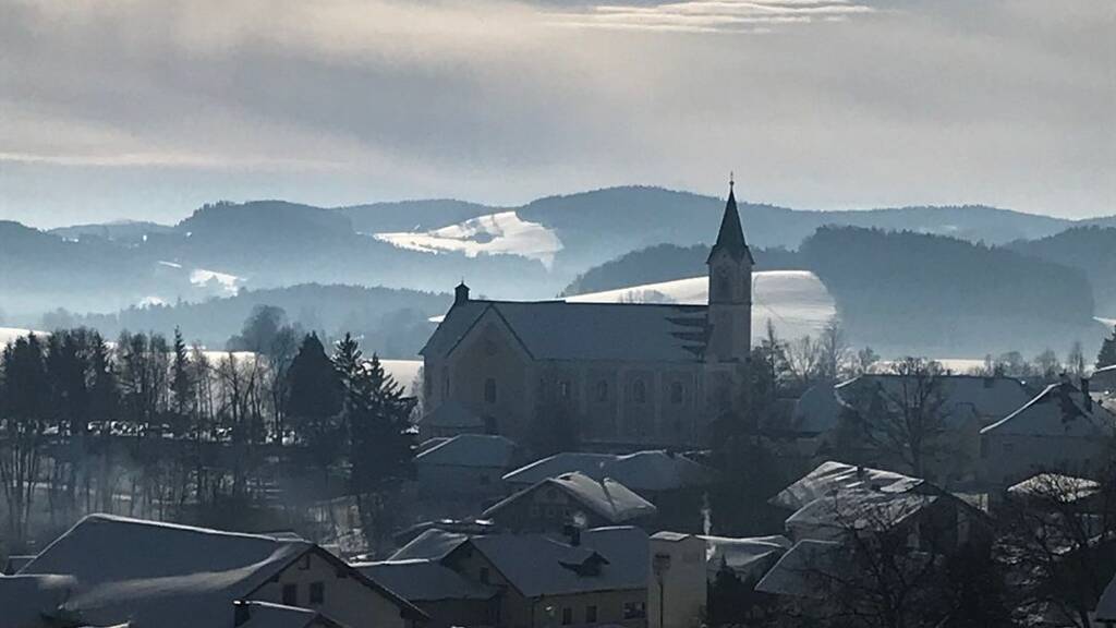 Mehrfamilienhaus zum Kauf provisionsfrei 669.000 € 16 Zimmer 956 m² 3.320 m² Grundstück Gegenbach Breitenberg 94139