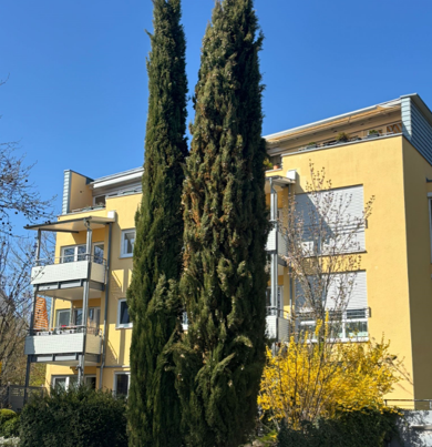 Wohnung zur Miete 1.400 € 3,5 Zimmer 89 m² Geschoss 1/3 frei ab sofort Offenburger Straße 83 Diezenhalde / Grund Böblingen 71034