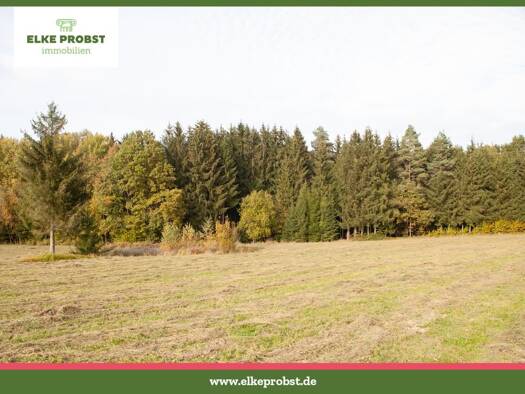 Landwirtschaftliche Fläche zum Kauf provisionsfrei 69.000 € 15.638 m² Grundstück Obermurach Oberviechtach 92526