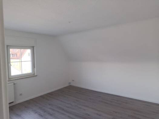 Wohnung zur Miete 700 € 2 Zimmer 55 m² Geschoss 2/3 frei ab sofort Holzgartenstraße 11 Lauf Lauf an der Pegnitz 91207