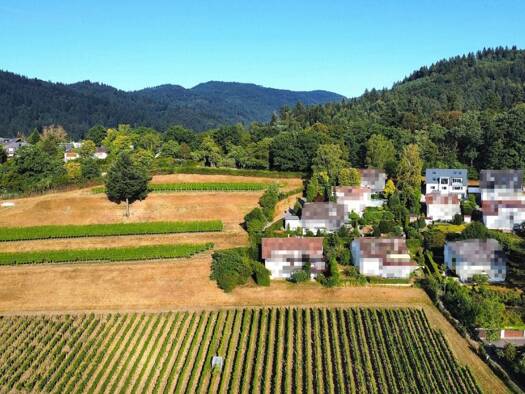 Wohnung zum Kauf 850.000 € 3,5 Zimmer 100 m² 1. Geschoss Merzhausen 79249