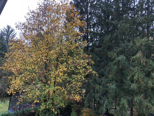 Wohnung zur Miete 850 € 1 Zimmer 40 m² Geschoss 2/3 frei ab 01.03.2026 Ottobrunn 85521