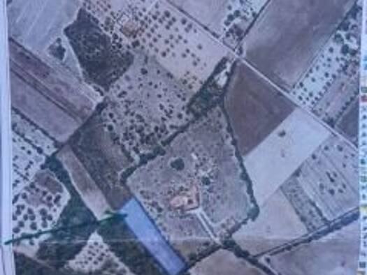 Haus zum Kauf 10.000 € 3 Zimmer 3.231 m² Grundstück San Juan