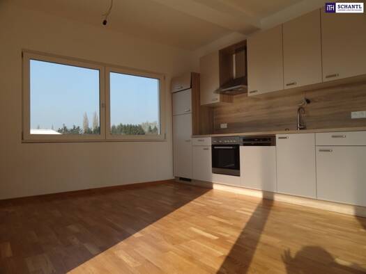 Wohnung zur Miete 711 € 2 Zimmer 60 m² 2. Geschoss frei ab 01.05.2026 Liebenau Graz,07.Bez.:Liebenau 8041