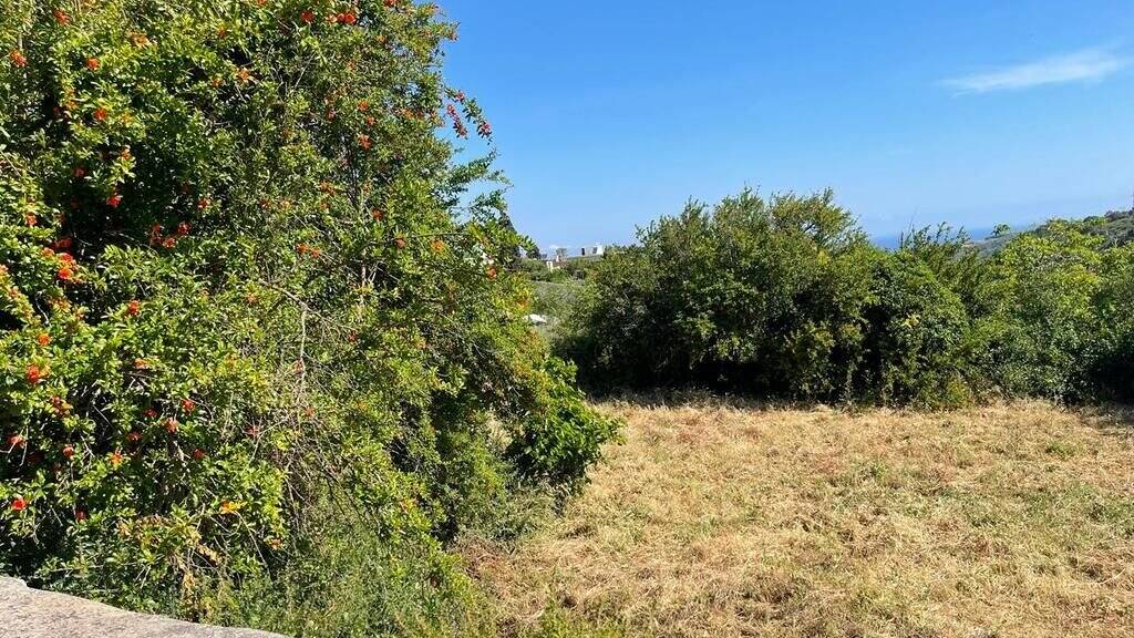 Land-/Forstwirtschaft zum Kauf 100.000 € 675 m² Grundstück Kreta