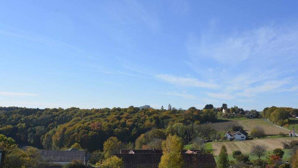 Haus zum Kauf 330.000 € 120 m² 8.878 m² Grundstück Fürstenfeld, Südoststeiermark, Vulkanland, Thermen 8280