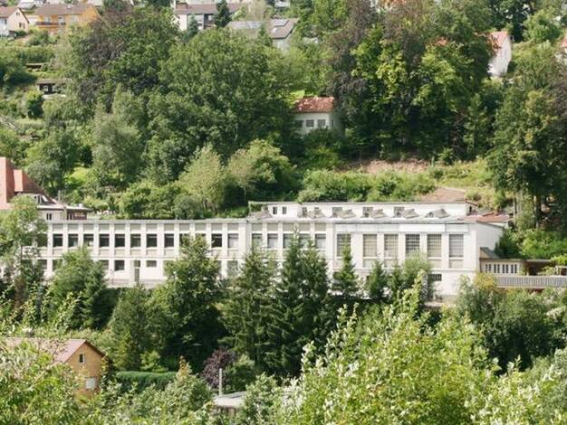 Lagerhalle zum Kauf provisionsfrei 985.000 € 2.000 m² Lagerfläche Altensteig 72213