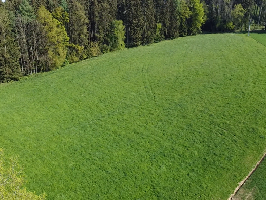 Landwirtschaftliche Fläche zum Kauf 146.000 € 13.900 m² Grundstück Viehhausen Viehhausen Vilsheim 84186