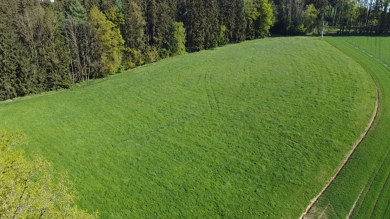 Landwirtschaftliche Fläche zum Kauf 146.000 € 13.900 m² Grundstück Viehhausen Viehhausen Vilsheim 84186