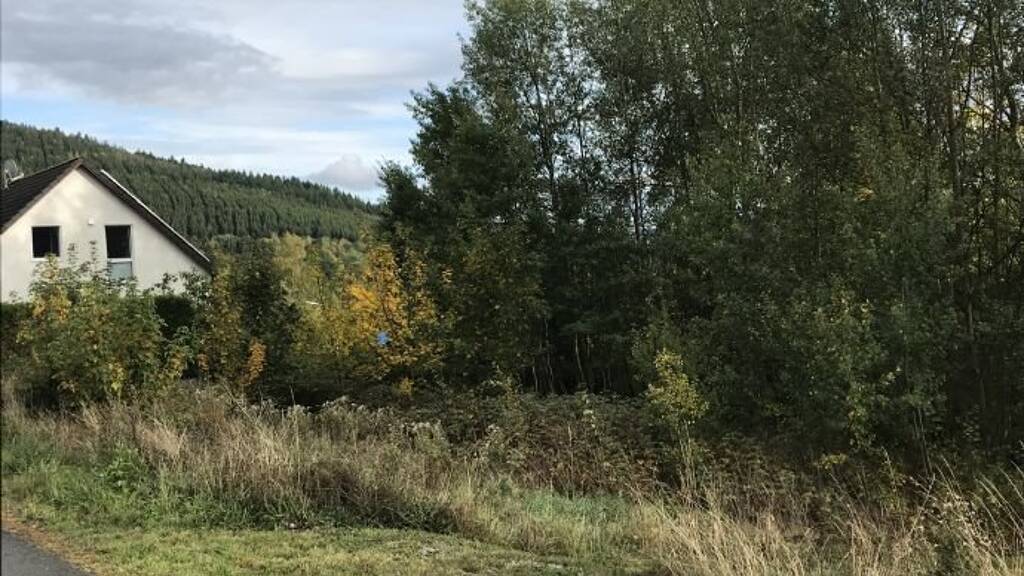 Grundstück zum Kauf 26.000 € 547 m² Grundstück Struthwiese Schwarzenau Bad Berleburg 57319