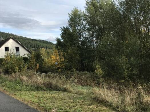 Grundstück zum Kauf 26.000 € 547 m² Grundstück An der Struthwiese Schwarzenau Bad Berleburg 57319