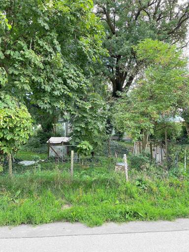 Grundstück zum Kauf 250.000 € 9.320 m² Grundstück Christertshofen Buch 89290