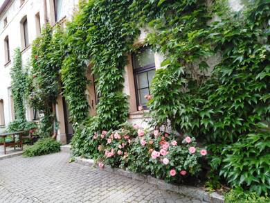 Studio zur Miete 380 € 1 Zimmer 53 m² Geschoss 1/1 frei ab 01.08.2025 Liebigstr. 12 Innenstadt Hof 95028
