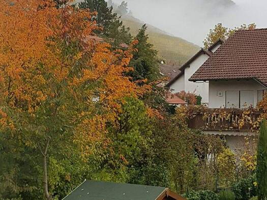 Wohnung zum Kauf 309.000 € 3,5 Zimmer 83,2 m² Singen Singen (Hohentwiel) 78224