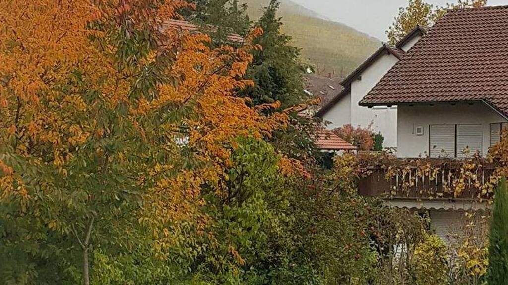 Wohnung zum Kauf 309.000 € 3,5 Zimmer 83,2 m² Singen Singen (Hohentwiel) 78224