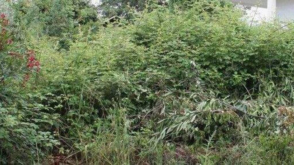 Grundstück zum Kauf 234.000 € 18.000 m² Grundstück Kreis Ulcinj 85360