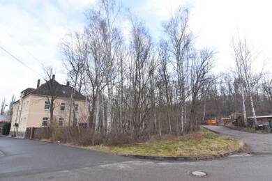 Grundstück zum Kauf 52.500 € 900 m² Grundstück Schedewitz Zwickau 08056