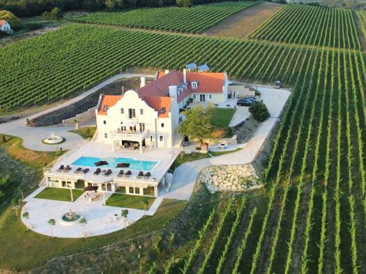 Hotel zum Kauf 5.500.000 € 9 Zimmer 20 Betten 100.000 m² Grundstück Monoszló 8273