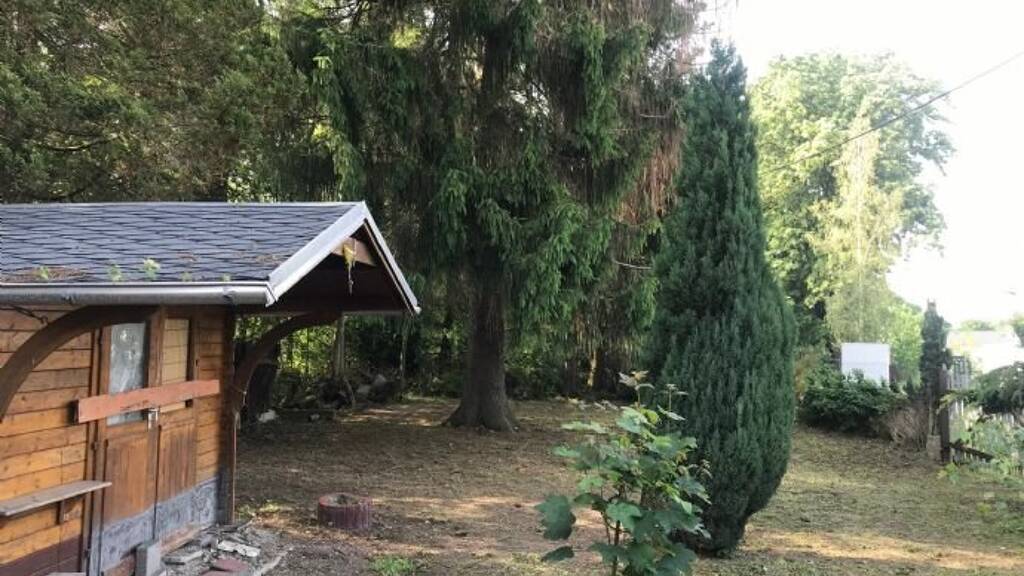 Grundstück zum Kauf provisionsfrei 49.900 € 700 m² Grundstück Am Bahnhof 3 Rodewisch 08228