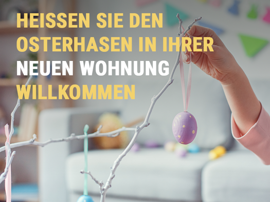 Wohnung zur Miete 539 € 2 Zimmer 61,2 m² Herzog-Ernst-Ring 35 Blumlage Celle 29221