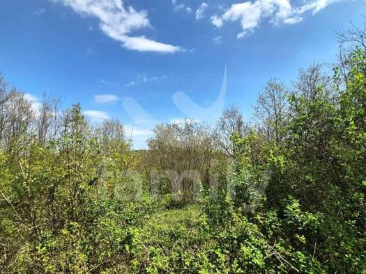 Acker-/Waldstück zum Kauf 62.500 € Žminj 52341