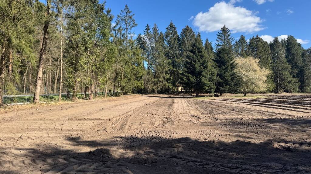 Grundstück zum Kauf 221.000 € 1.694 m² Grundstück Hartenholm 24628