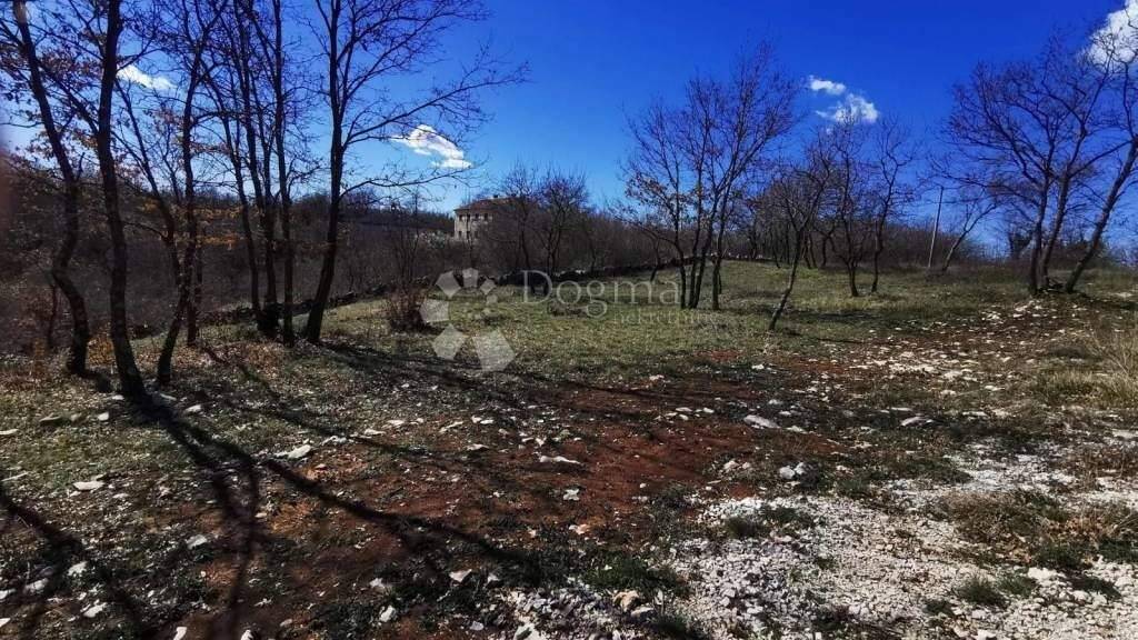 Land-/Forstwirtschaft zum Kauf 62.000 € Svetvincenat