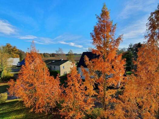 Wohnung zur Miete 434 € 3 Zimmer 62 m² 3. Geschoss frei ab 01.01.2026 Neubauweg 16 Camin 19260