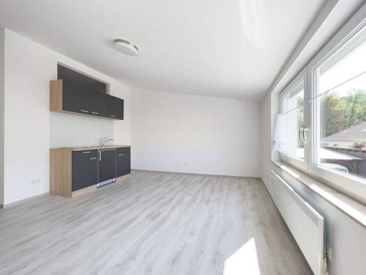 Wohnung zur Miete 300 € 1 Zimmer 20 m² EG frei ab 01.03.2026 Kapuzinerstr. 38 Innstadt Passau 94032