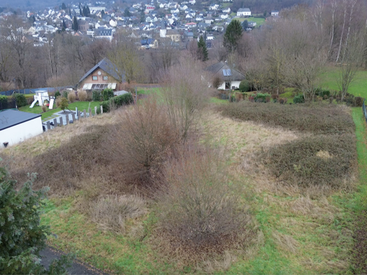 Grundstück zum Kauf 115.000 € 800 m² Grundstück Rosbach Windeck-Obernau 51570