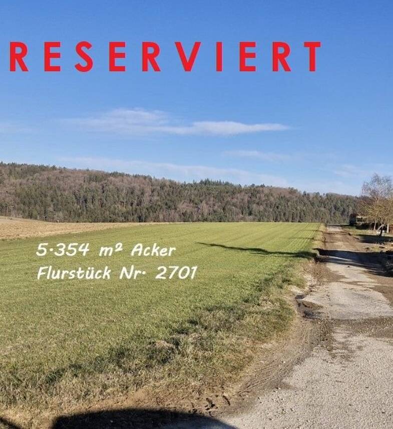 Grundstück zum Kauf 26.800 € 5.354 m² Grundstück Mauenheim Immendingen 78194