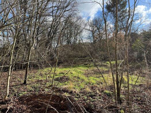 Grundstück zum Kauf 1.300.000 € 2.390 m² Grundstück frei ab sofort Teltow 14513