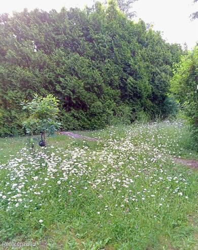 Grundstück zum Kauf provisionsfrei 230.000 € 510 m² Grundstück Görsroth Hünstetten 65510