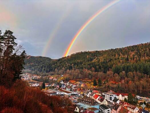 Wohnung zur Miete 650 € 2 Zimmer 64 m² Geschoss 2/5 frei ab sofort Calmbach Bad Wildbad 75323