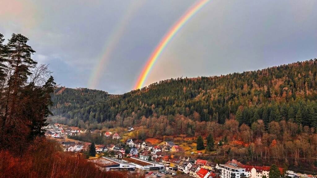 Wohnung zur Miete 650 € 2 Zimmer 64 m² Geschoss 2/5 frei ab sofort Calmbach Bad Wildbad 75323