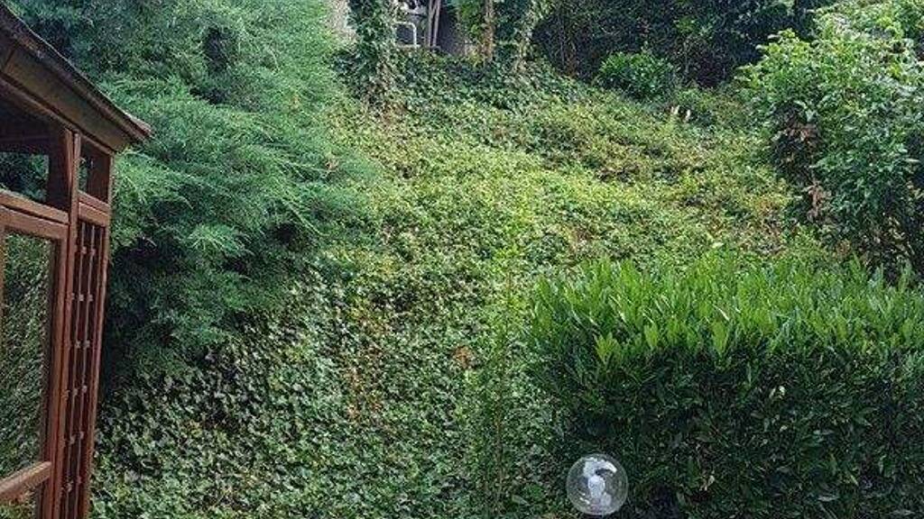 Wohnung zur Miete 1.050 € 4 Zimmer 124 m² 2. Geschoss Theodor-Frey-Straße 35 Eberbach 69412