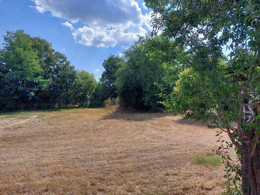 Grundstück zum Kauf 495.000 € 1.273 m² Grundstück Oberrimsingen Breisach am Rhein 79206
