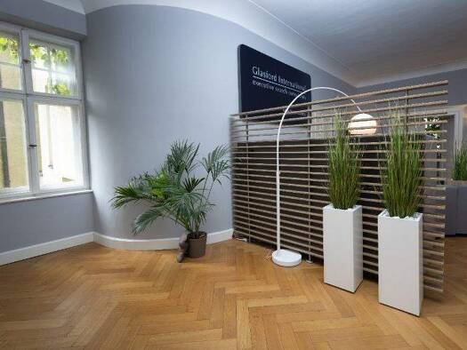 Bürofläche zur Miete provisionsfrei 600 € 4 m² Bürofläche Widenmayerstraße Altstadt-Lehel München 80538