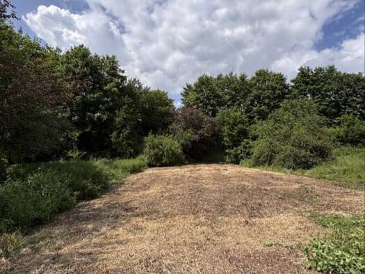 Grundstück zum Kauf 270.000 € 806 m² Grundstück Tuttlingen 78532