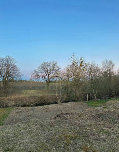 Grundstück zum Kauf 499.000 € 670 m² Grundstück Lochbrücke Meckenbeuren 88074