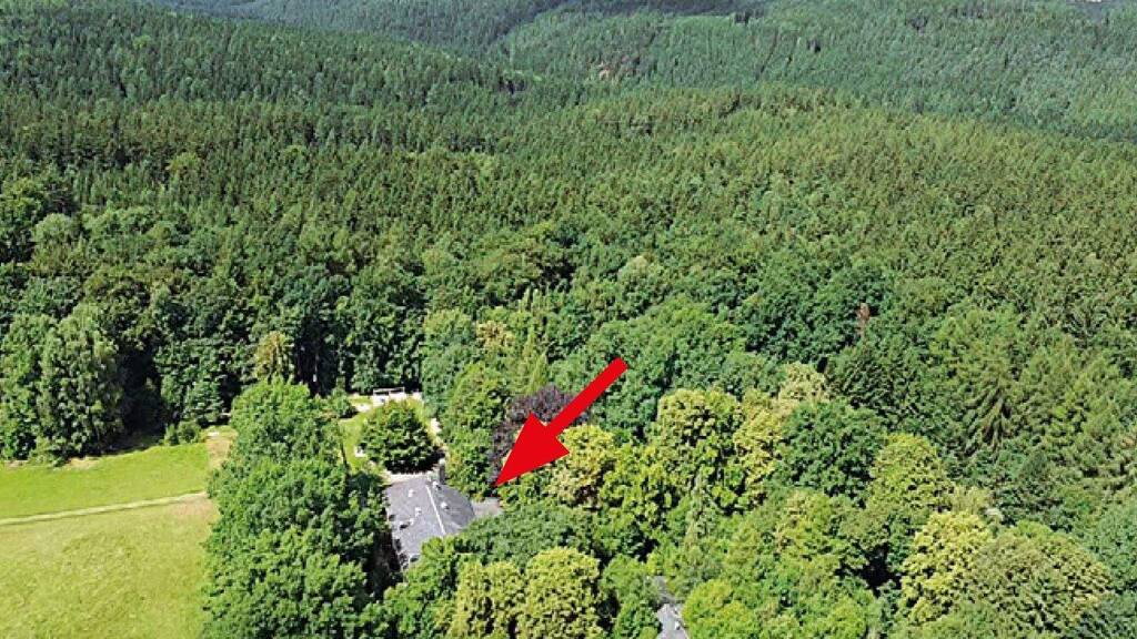 Gastronomie/Hotel zum Kauf 9.000 € 1.080 m² Gastrofläche 8.343 m² Grundstück Waldhaus Nr. 8 Krebsbach Talsperre Mohlsdorf-Teichwolframsdorf 07987