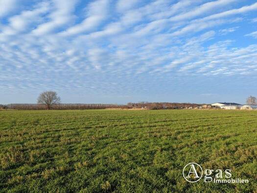 Land-/Forstwirtschaft zum Kauf 20.000 € 10.213 m² Grundstück Plötzin Werder/ Havel 14542